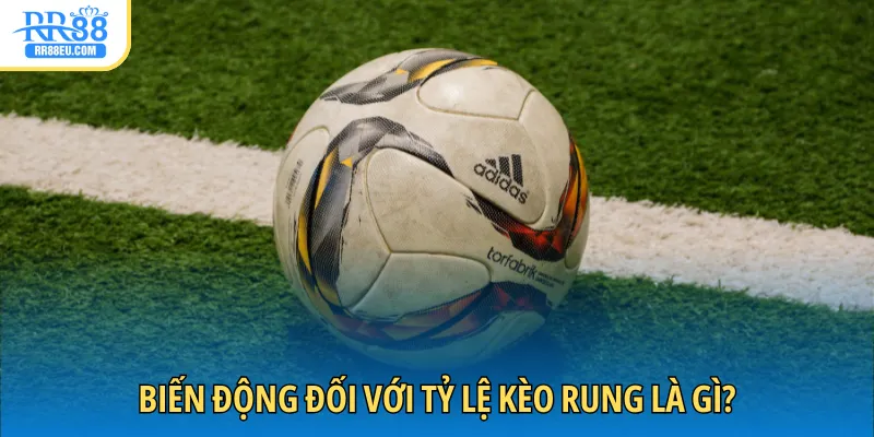 Kèo Rung Là Gì? - Giải Mã Hình Thức Cá Cược Tức Thời 4 Biến động đối với tỷ lệ kèo rung là gì?