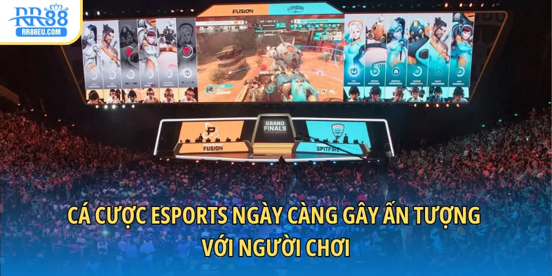Cá Cược Esports Đơn Giản, Hiệu Quả Cho Tân Binh 2 Cá cược Esports ngày càng gây ấn tượng với người chơi