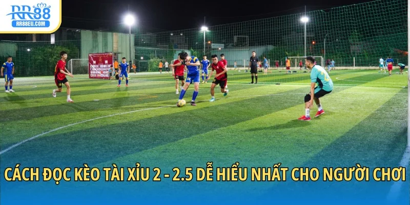 Tài Xỉu 2 - 2.5 Là Gì? Hướng Dẫn Mẹo Đọc Kèo Dễ Hiểu 3 Cách đọc kèo tài xỉu 2 - 2.5 dễ hiểu nhất cho người chơi