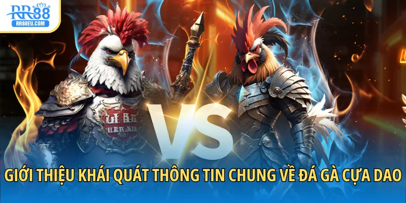 Đá Gà Cựa Dao - Giải Trí Sôi Động, Bắt Trọn Khoảnh Khắc 2 Giới thiệu khái quát thông tin chung về đá gà cựa dao