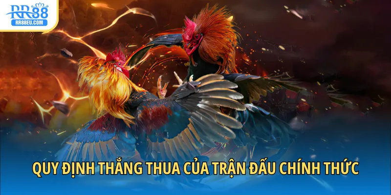 Đá Gà Cựa Dao - Giải Trí Sôi Động, Bắt Trọn Khoảnh Khắc 3 Quy định thắng thua của trận đấu chính thức