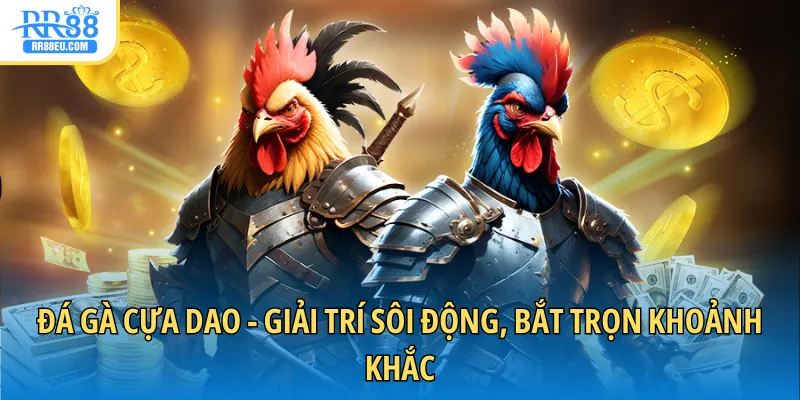 Đá Gà Cựa Dao - Giải Trí Sôi Động, Bắt Trọn Khoảnh Khắc 1 đá gà cựa dao