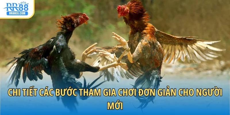 Đá Gà Cựa Sắt - Cá Cược Sôi Động Với Màn Tranh Tài Kịch Tính 4 Chi tiết các bước tham gia chơi đơn giản cho người mới