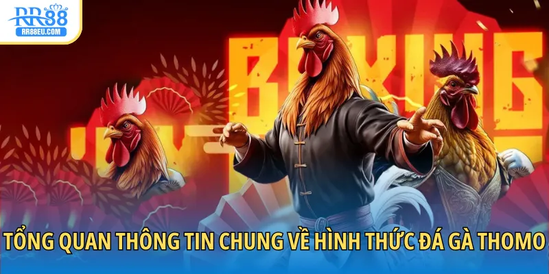 Đá Gà Thomo - Giải Trí Với Đấu Trường Kịch Tính 2025 2 Tổng quan thông tin chung về hình thức đá gà Thomo
