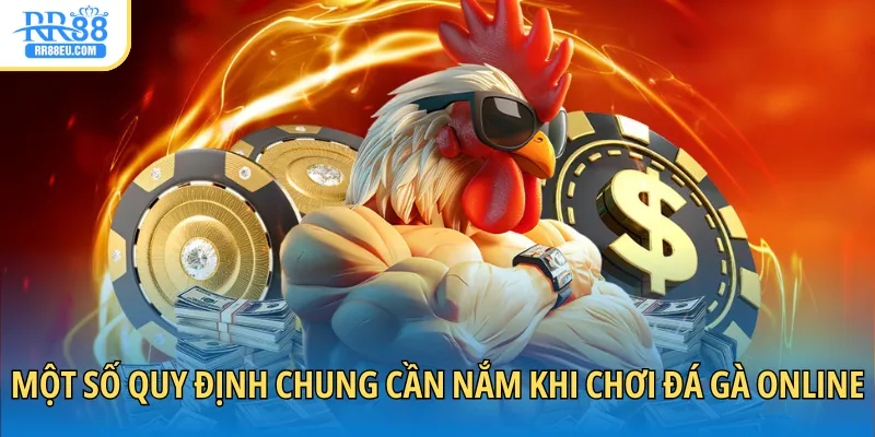 Đá Gà Thomo - Giải Trí Với Đấu Trường Kịch Tính 2025 3 Một số quy định chung cần nắm khi chơi đá gà online