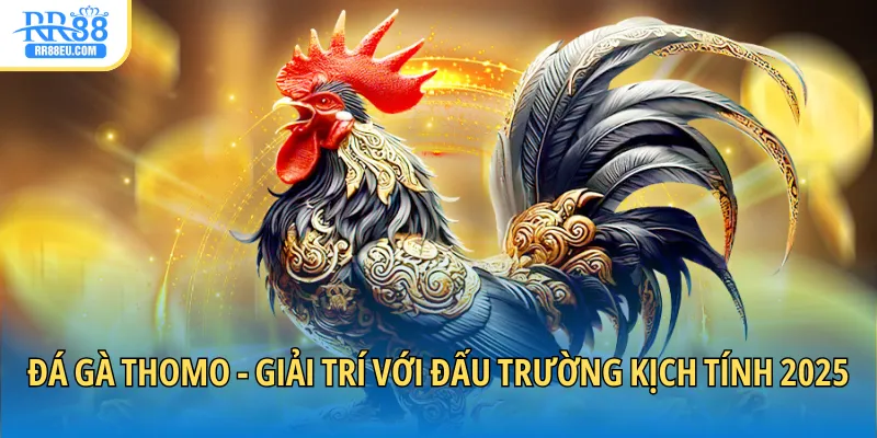 Đá Gà Thomo - Giải Trí Với Đấu Trường Kịch Tính 2025 1 đá gà Thomo