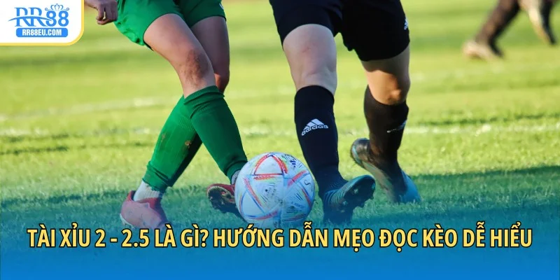 Tài Xỉu 2 - 2.5 Là Gì? Hướng Dẫn Mẹo Đọc Kèo Dễ Hiểu 1 Tài xỉu 2 - 2.5 là gì